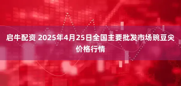 启牛配资 2025年4月25日全国主要批发市场豌豆尖价格行情