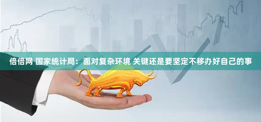 倍倍网 国家统计局：面对复杂环境 关键还是要坚定不移办好自己的事
