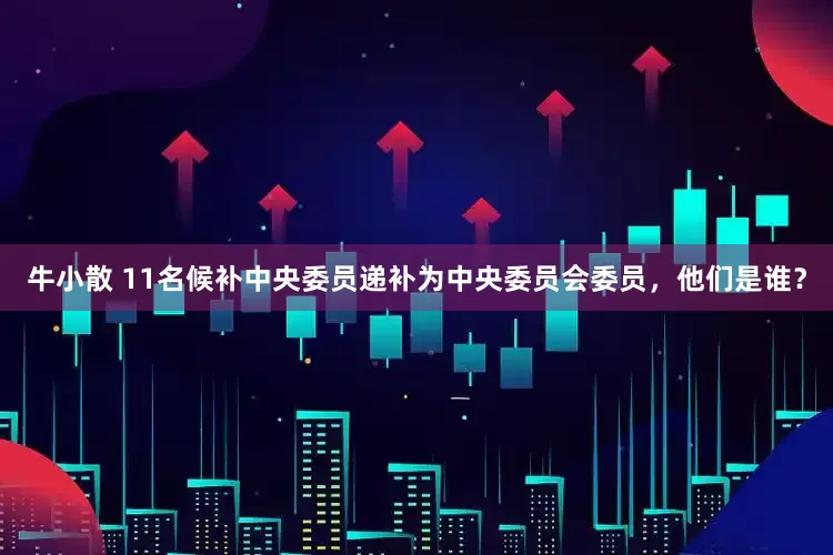 牛小散 11名候补中央委员递补为中央委员会委员，他们是谁？